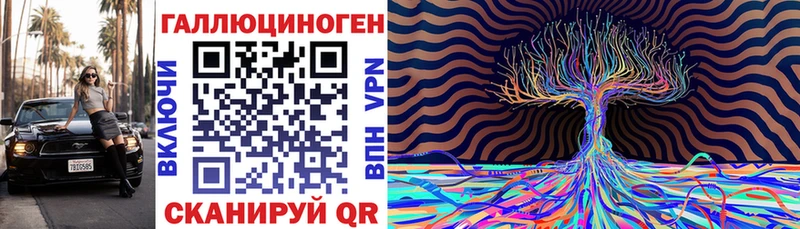 Галлюциногенные грибы Psilocybe  Сочи 
